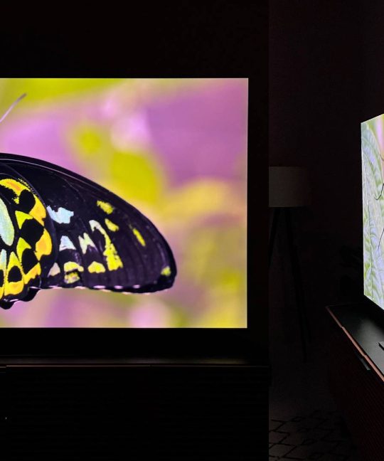 QNED vs. OLED vs. QLED: What Technology Should Your Next TV Feature?