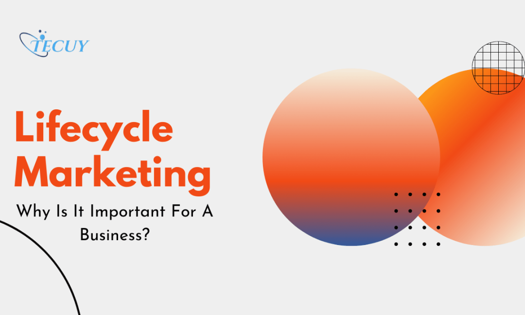 What Is Lifecycle Marketing And Why Is It Important For A Business?