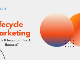 What Is Lifecycle Marketing And Why Is It Important For A Business?