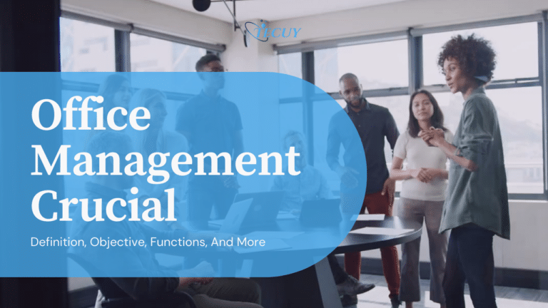 A Complete Guide To Office Management And Why Is It Important In 2024?