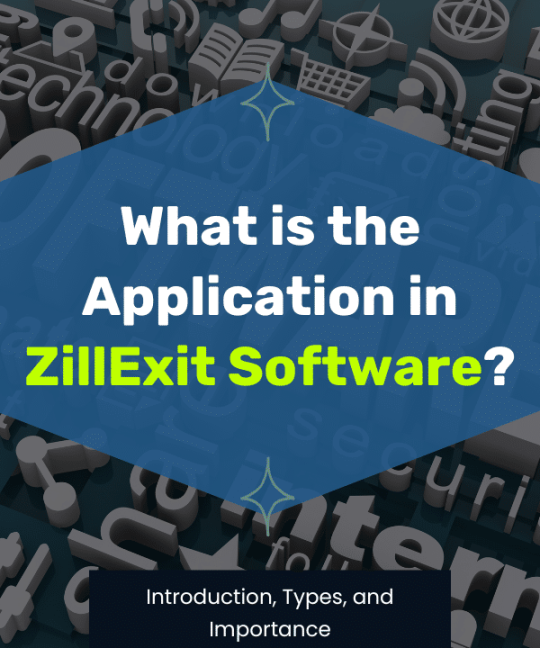 What is the Application in ZillExit Software? Introduction, Types, and Importance